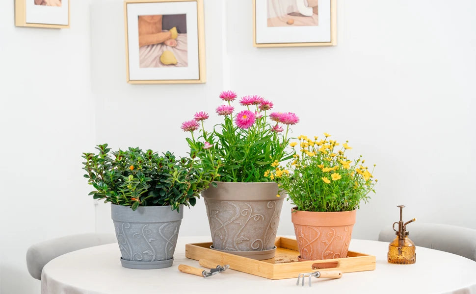 Pots Indoor with Drainage & Saucer, 7 inch Flower Pots Outdoor Planters for Indoor Plants Garden Home Decor