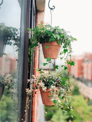 Pots Indoor with Drainage & Saucer, 7 inch Flower Pots Outdoor Planters for Indoor Plants Garden Home Decor