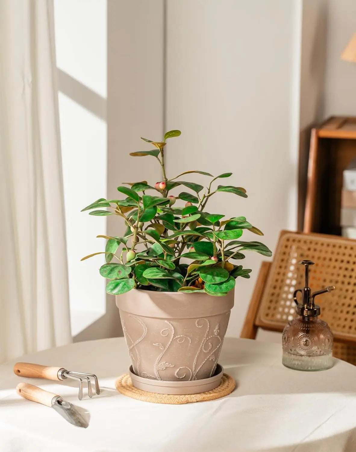 Pots Indoor with Drainage & Saucer, 7 inch Flower Pots Outdoor Planters for Indoor Plants Garden Home Decor