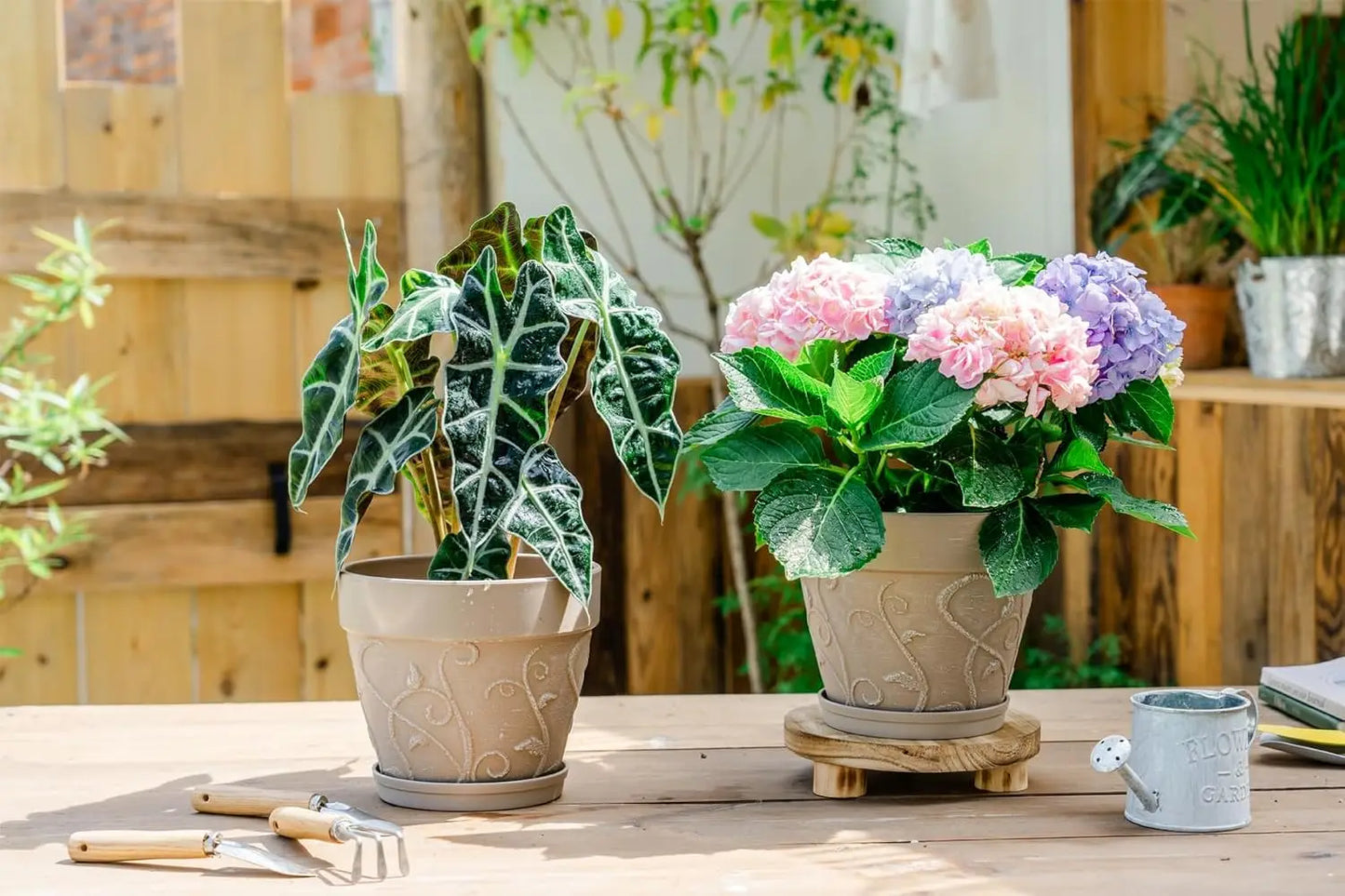 Pots Indoor with Drainage & Saucer, 7 inch Flower Pots Outdoor Planters for Indoor Plants Garden Home Decor